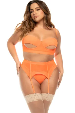 Bold Plus Size Mesh Lingerie Set