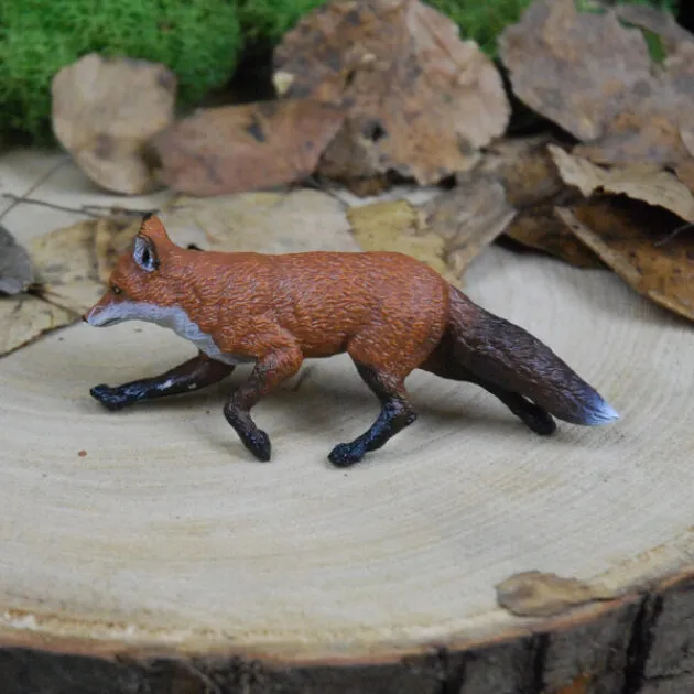 Fox