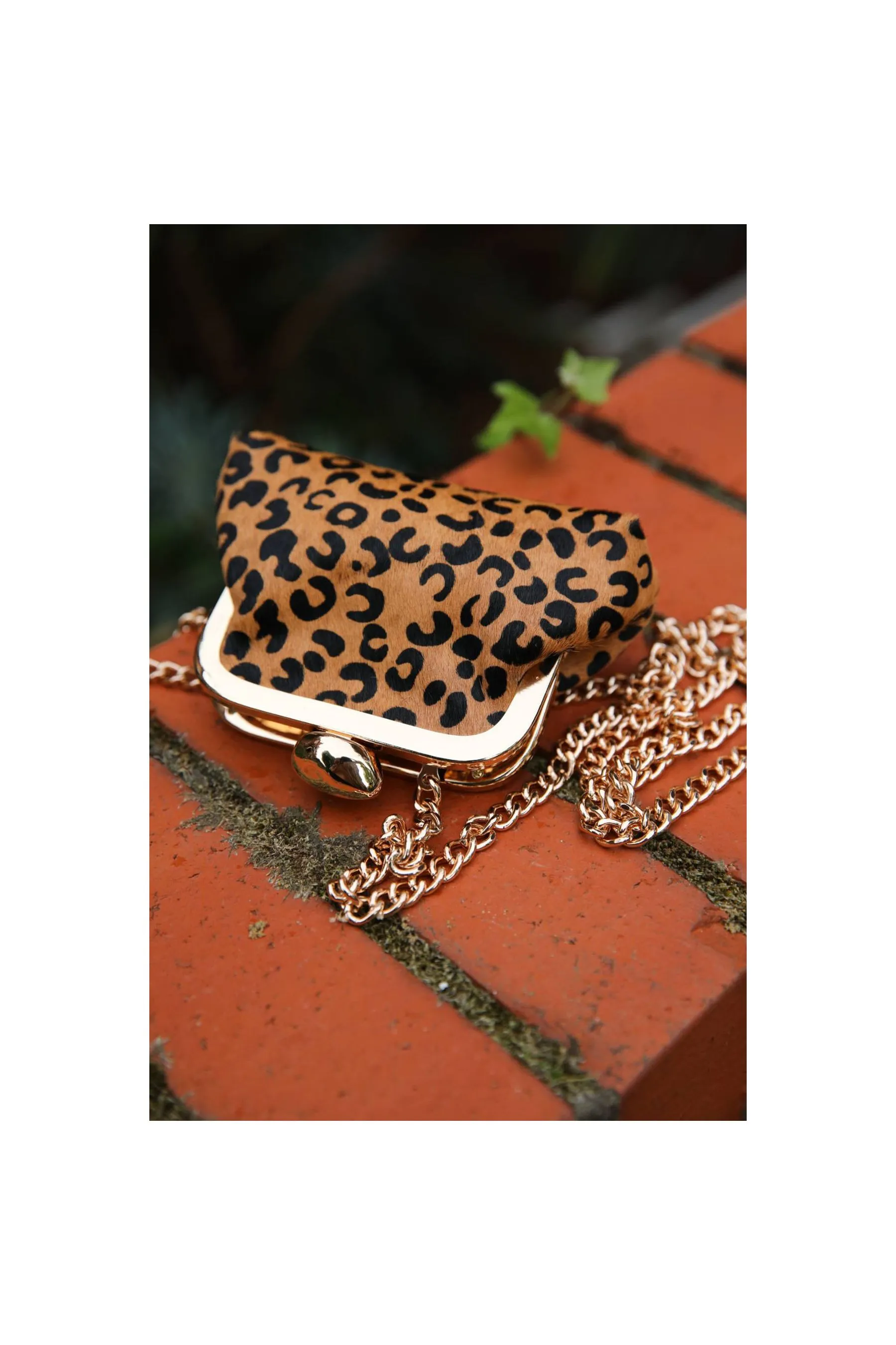 Luella Grey Eliza Cheetah Women Clutches