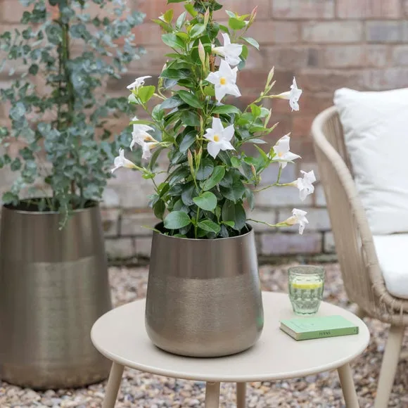 Ivyline Set of 2 Prescot Plant Pots
